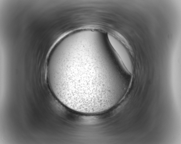 X0000085791276200704091424
