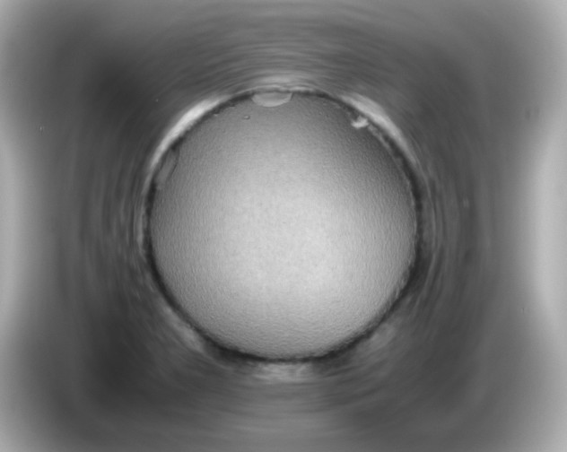 X0000085791277200704091424