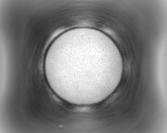 X0000085791278200704091424