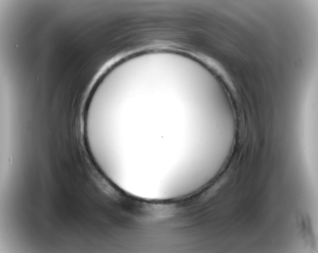 X0000085791280200704091424