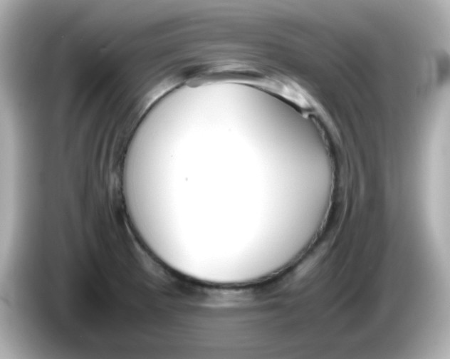 X0000085791281200704091424