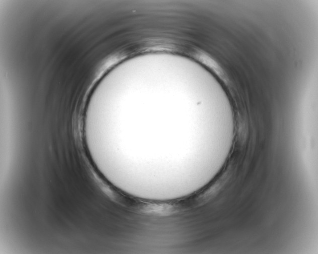 X0000085791282200704091424