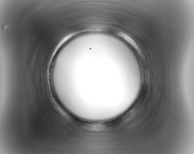 X0000085791283200704091424