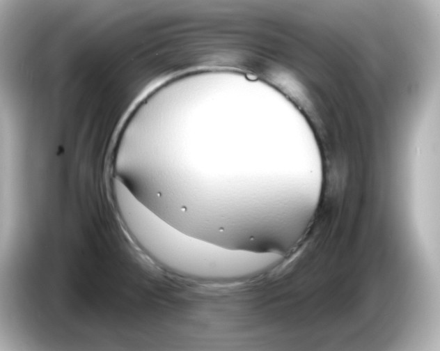 X0000085791284200704091424