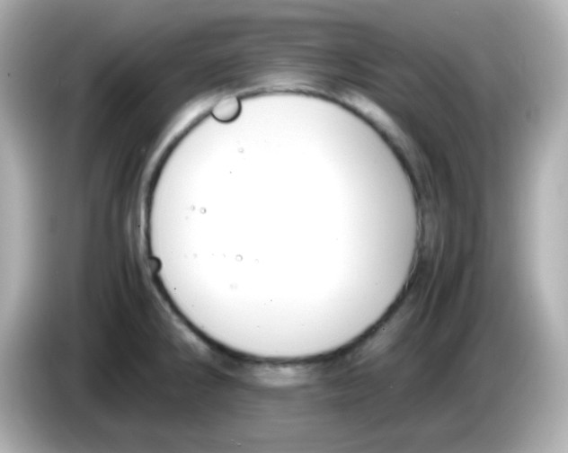 X0000085791286200704091424