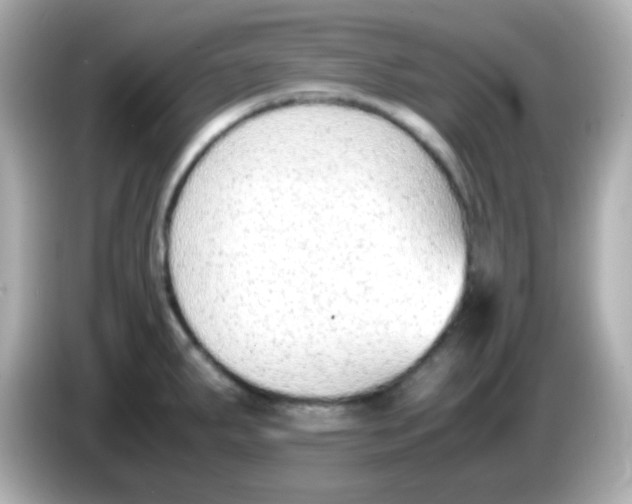 X0000085791287200704091424