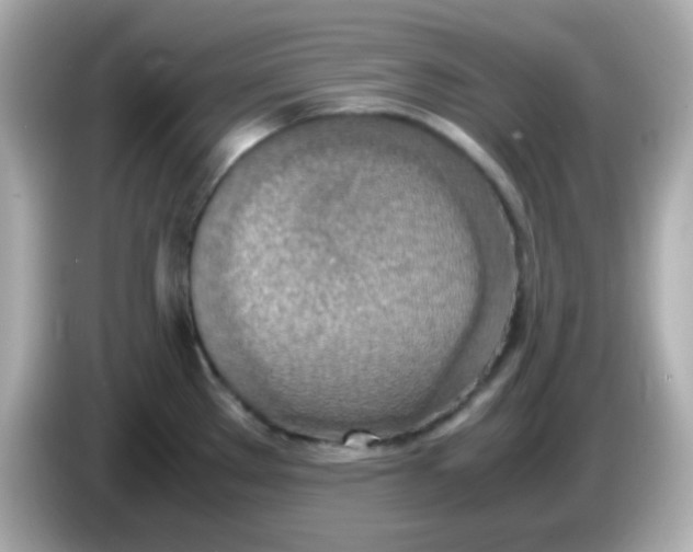 X0000085791289200704091423