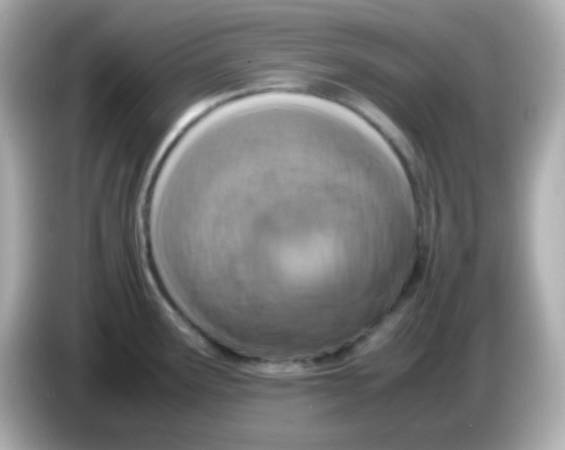 X0000085791291200704091423