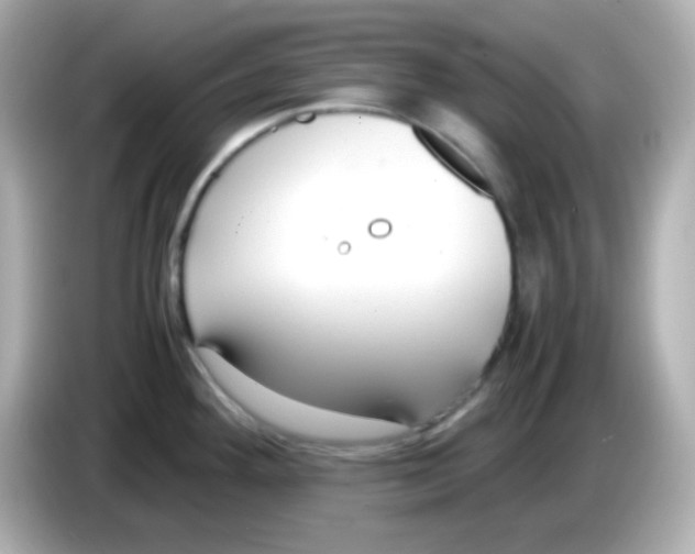 X0000085791292200704091423