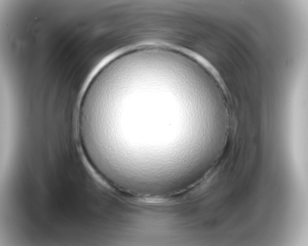 X0000085791295200704091423