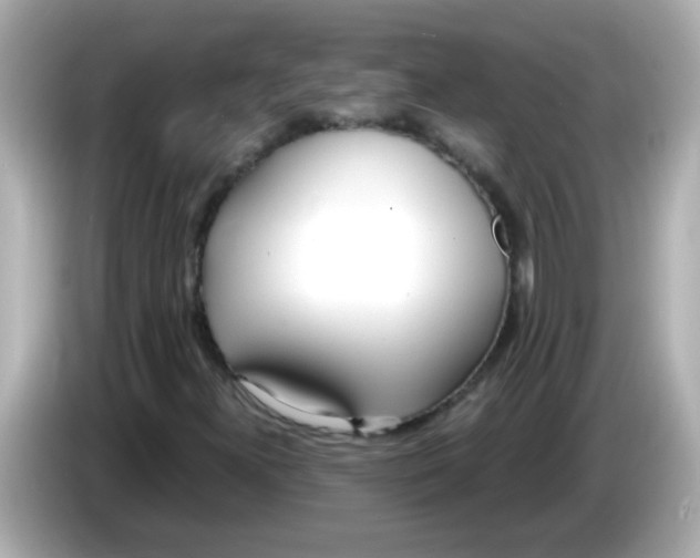 X0000085791300200704091423