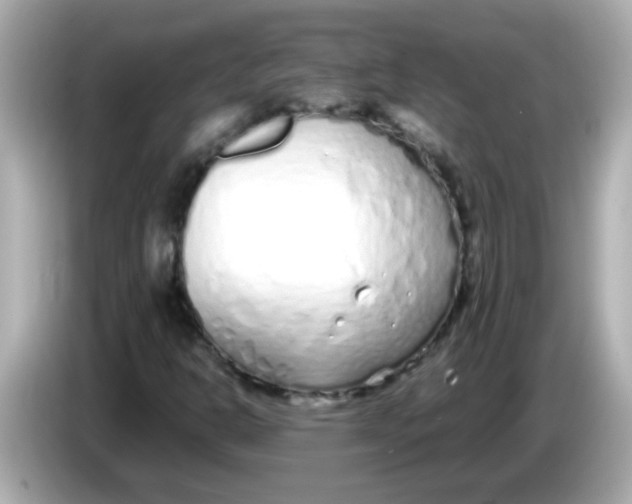 X0000085791302200704091423
