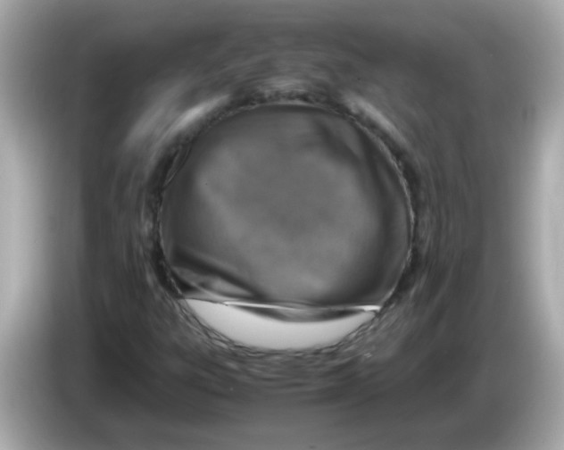 X0000085791303200704091423