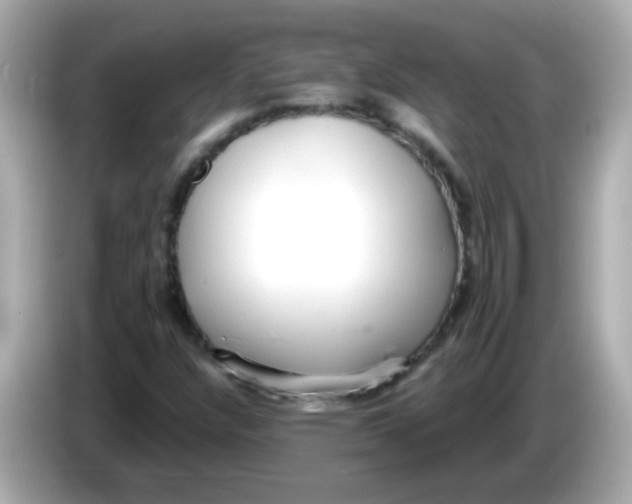 X0000085791304200704091423