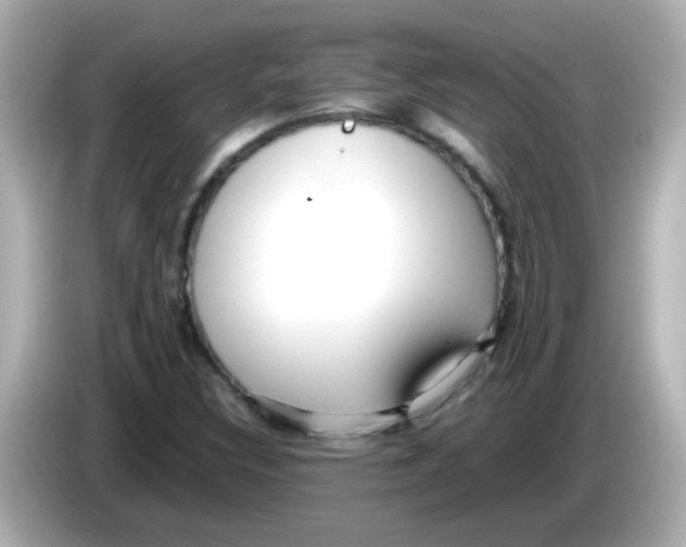 X0000085791308200704091423