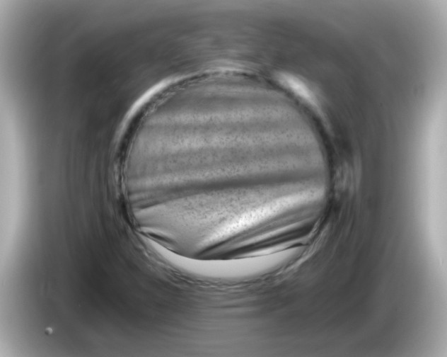 X0000085791310200704091423
