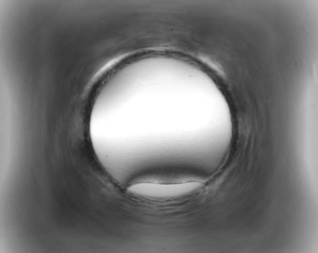 X0000085791311200704091423