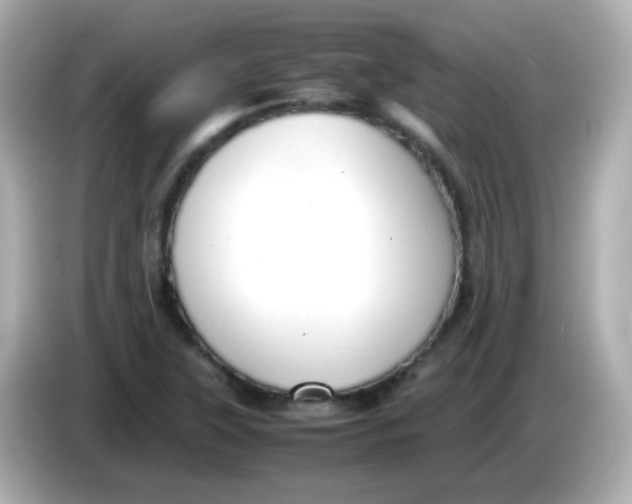 X0000085791315200704091423
