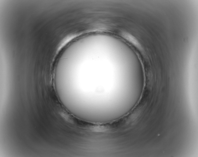 X0000085791316200704091423