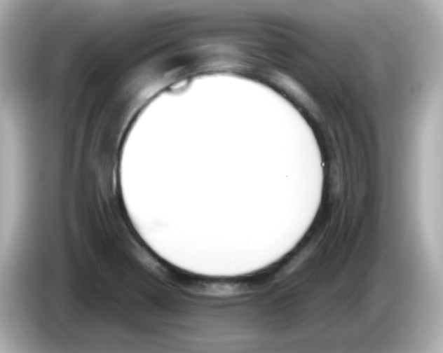 X0000085791322200704091423