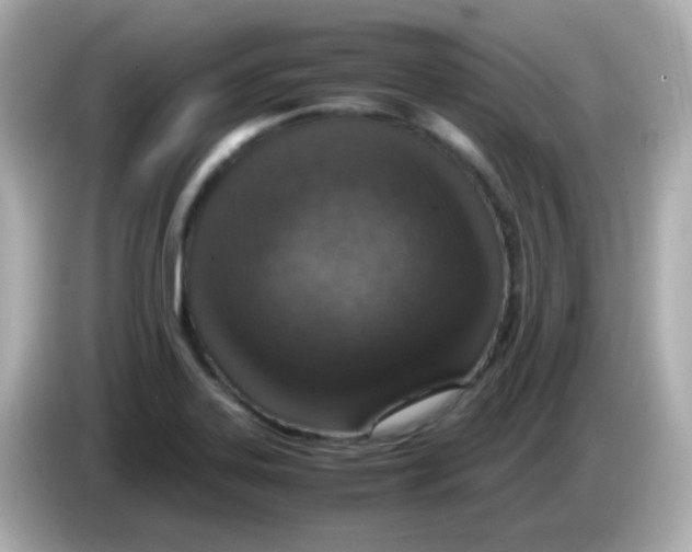 X0000085791323200704091423