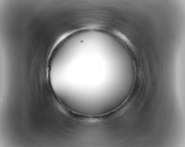 X0000085791324200704091423