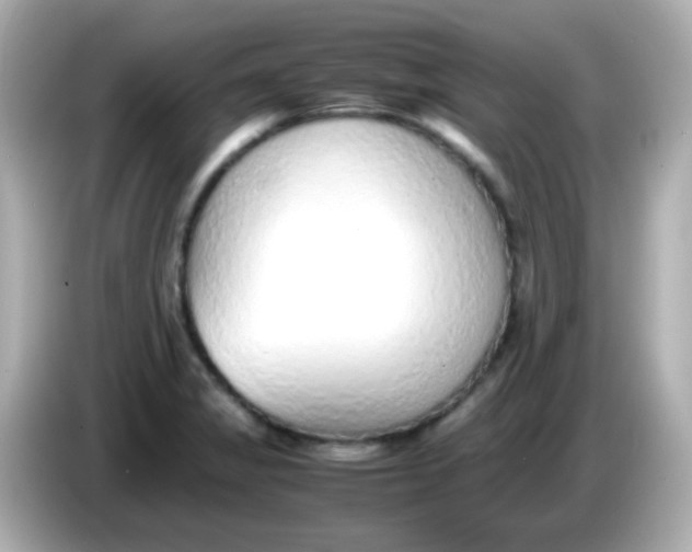 X0000085791325200704091423