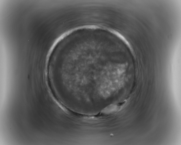 X0000085791327200704091423