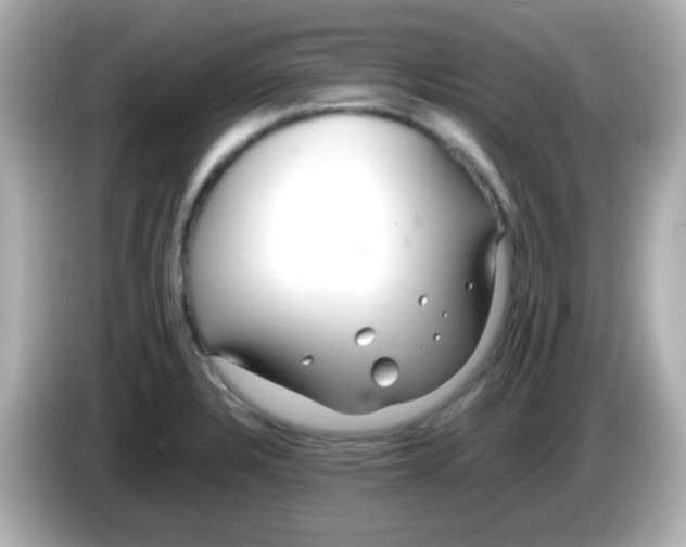 X0000085791328200704091423