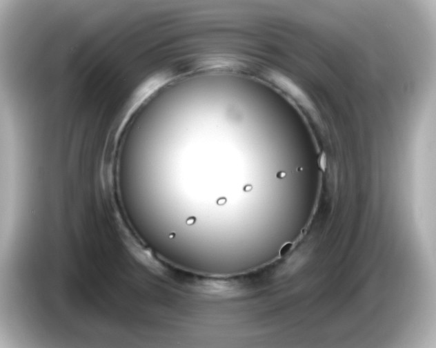 X0000085791330200704091423