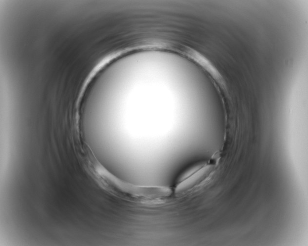X0000085791332200704091423