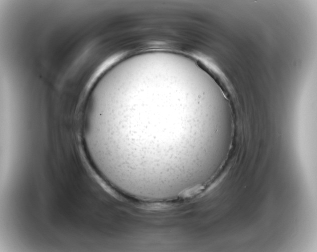 X0000085791333200704091423