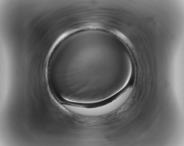 X0000085791334200704091423
