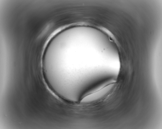 X0000085791335200704091423