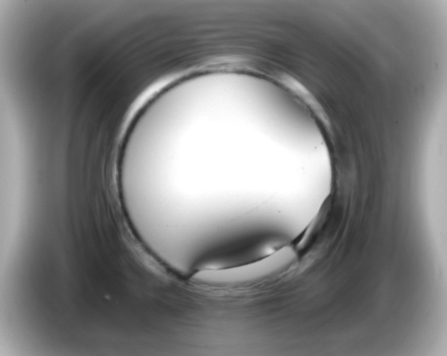 X0000085791336200704091423
