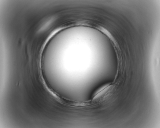 X0000085791339200704091423