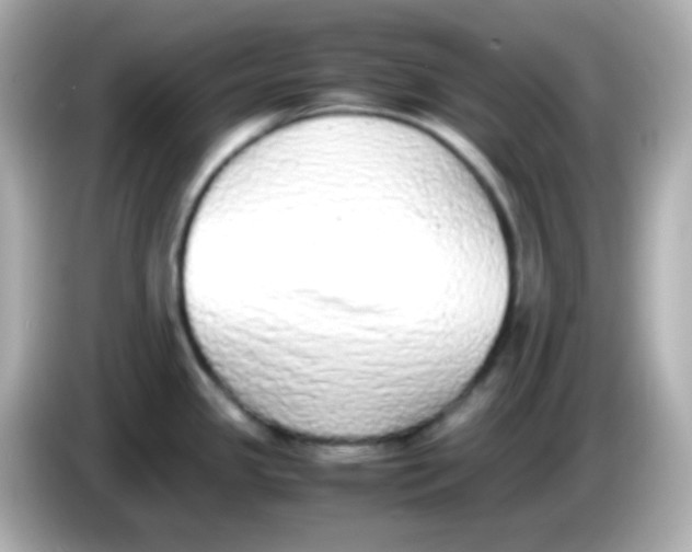 X0000085791341200704091423