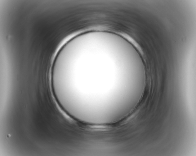 X0000085791343200704091423