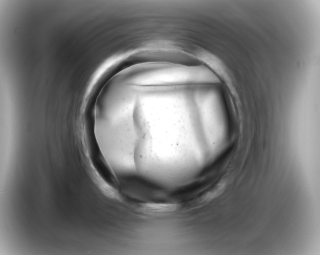 X0000085791344200704091423