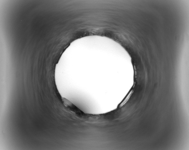 X0000085791345200704091423