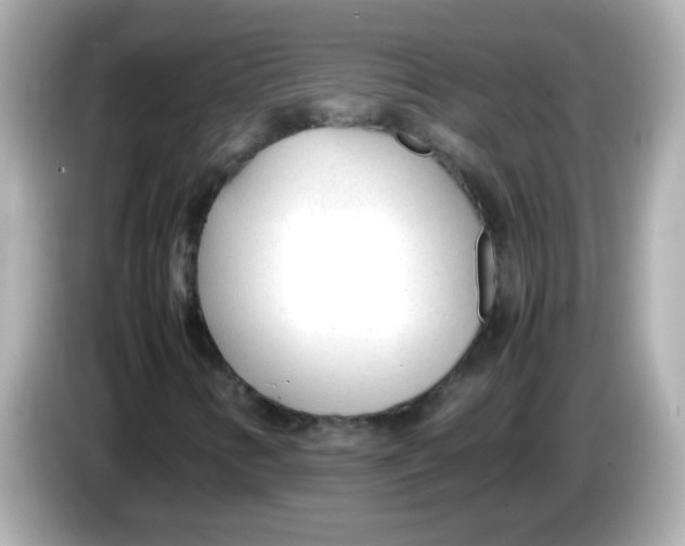 X0000085791346200704091423