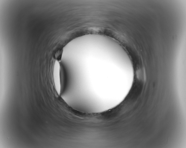 X0000085791347200704091423