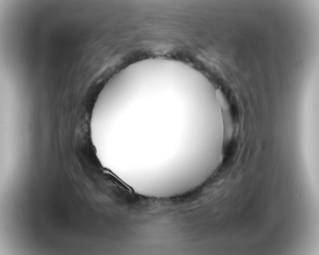 X0000085791349200704091423