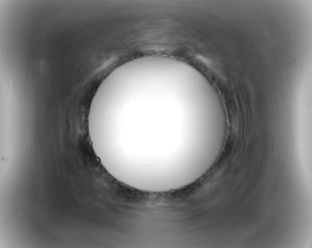 X0000085791350200704091423