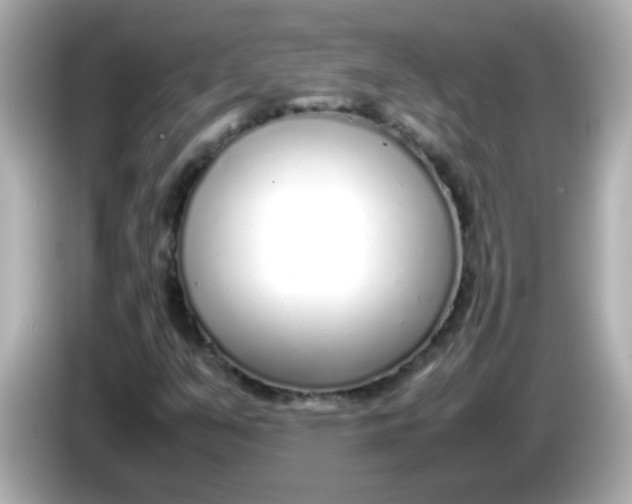 X0000085791351200704091423