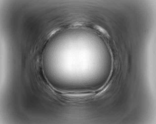 X0000085791353200704091423
