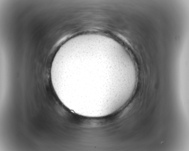 X0000085791355200704091423