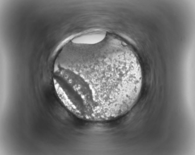 X0000085791359200704091423