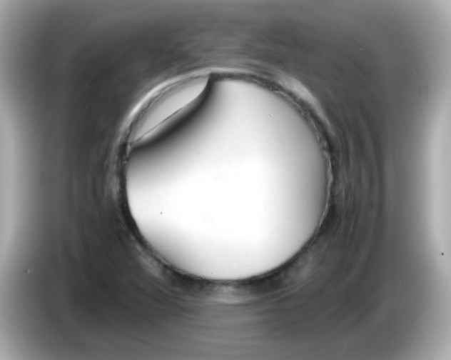 X0000085791360200704091423