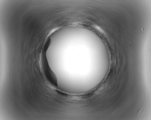 X0000085791361200704091423